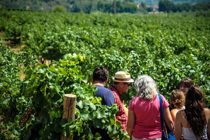 Private Montserrat with Wine Tasting Full Day Trip from Barcelona - The Black Virgin and Montserrat Abbey