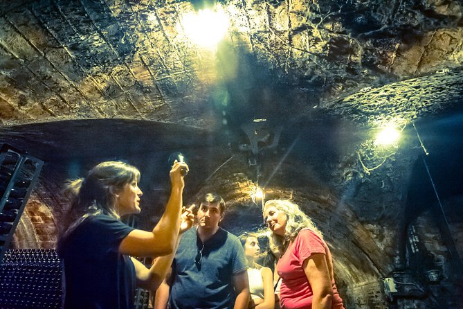 Private Montserrat with Wine Tasting Full Day Trip from Barcelona - What the private guide changes
