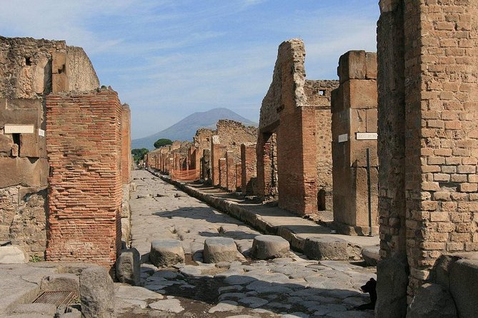 Private Tour: Pompeii and Positano Day Trip from Rome - The drivers are a major part of the experience