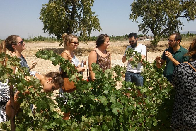 Private Wine Tour with Wine Tasting and Full Lunch (day trip) - Key points to know before booking