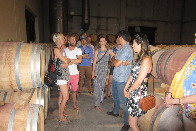 Private Wine Tour with Wine Tasting and Full Lunch (day trip) - Entering Murviedro’s old caves beneath Requena