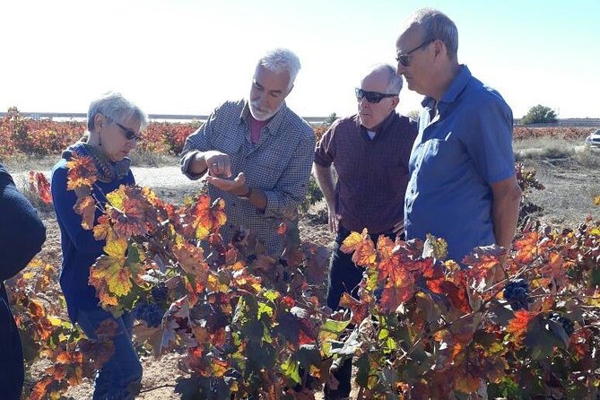 Private Wine Tour with Wine Tasting and Full Lunch (day trip) - The private format and Johan’s guiding style