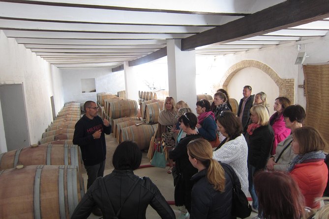Private Wine Tour with Wine Tasting and Full Lunch (day trip) - Who will enjoy this tour most