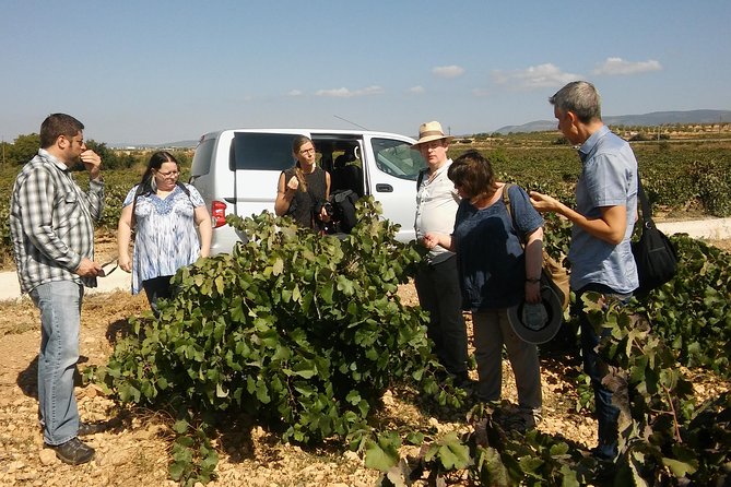 Private Wine Tour with Wine Tasting and Full Lunch (day trip) - Meeting the family at Bodega Vera de Estenas