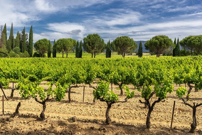 Provence Day Trip with Cassis Village Boat Ride and Local Wine Tasting from Aix - Is the $253.97 Price Fair?