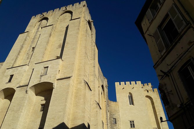 Provence in a Day Trip from Aix - What the guide adds to the day