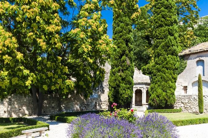 Provence in One Day Small Group Day Trip from Avignon - Starting at 8:30 a.m. in Avignon