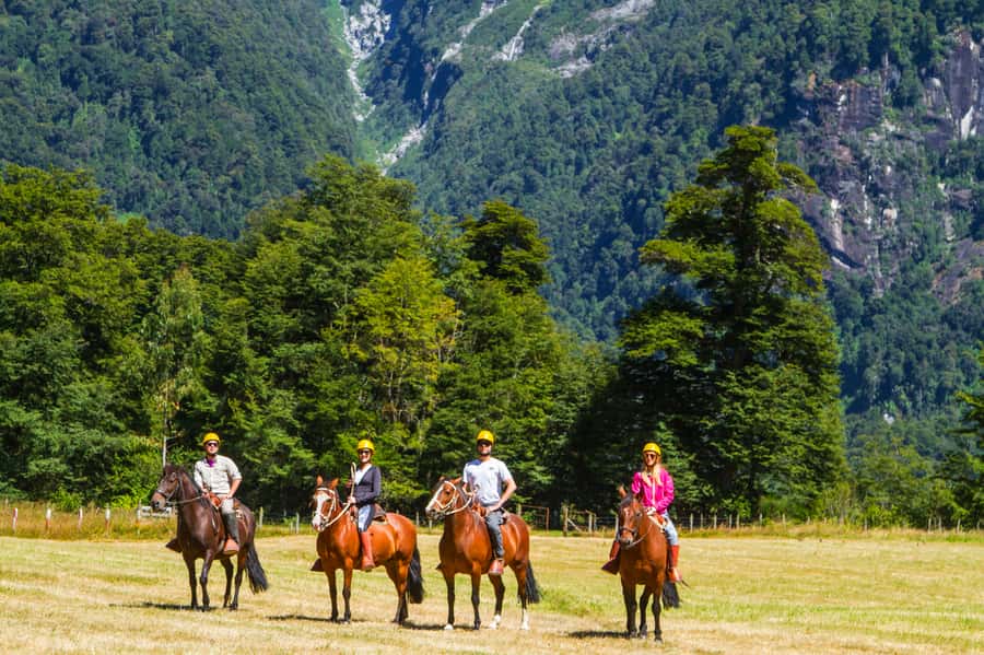 Puerto Varas: Peulla Day Trip - Who will enjoy this day trip most?