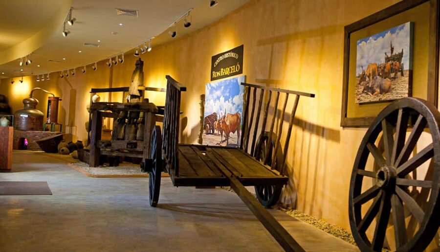Punta Cana: Dominican Flavors Guided Day Trip - A compact taste of Dominican production