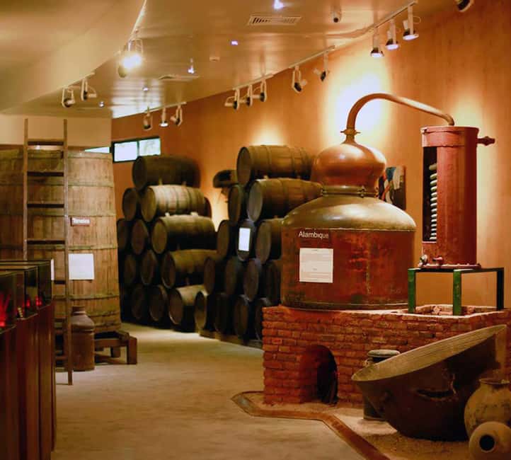 Punta Cana: Dominican Flavors Guided Day Trip - Who will enjoy this outing most