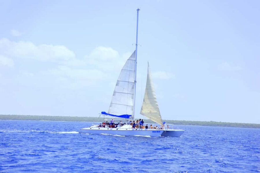 Punta Cana: Saona Island and Altos de Chavón Day Trip - Should you book the Saona and Altos de Chavón day trip?