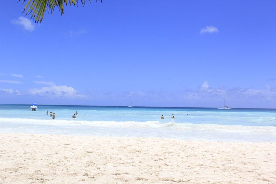Punta Cana: Saona Island and Altos de Chavón Day Trip - Three hours on Saona Island
