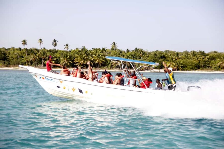 Punta Cana: Saona Island and Altos de Chavón Day Trip - What the $92 price really covers