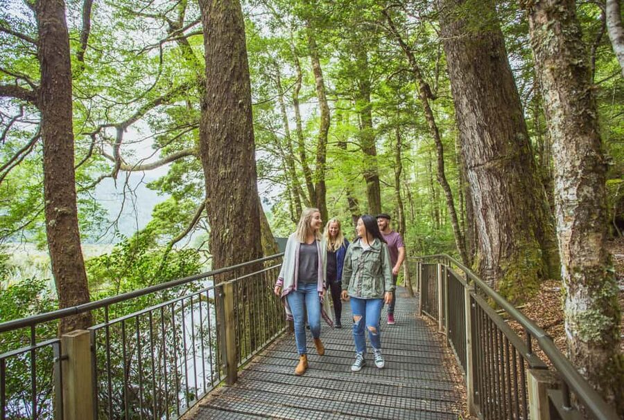 Queenstown: Milford Sound Coach & Cruise Full-Day Trip - Key points at a glance