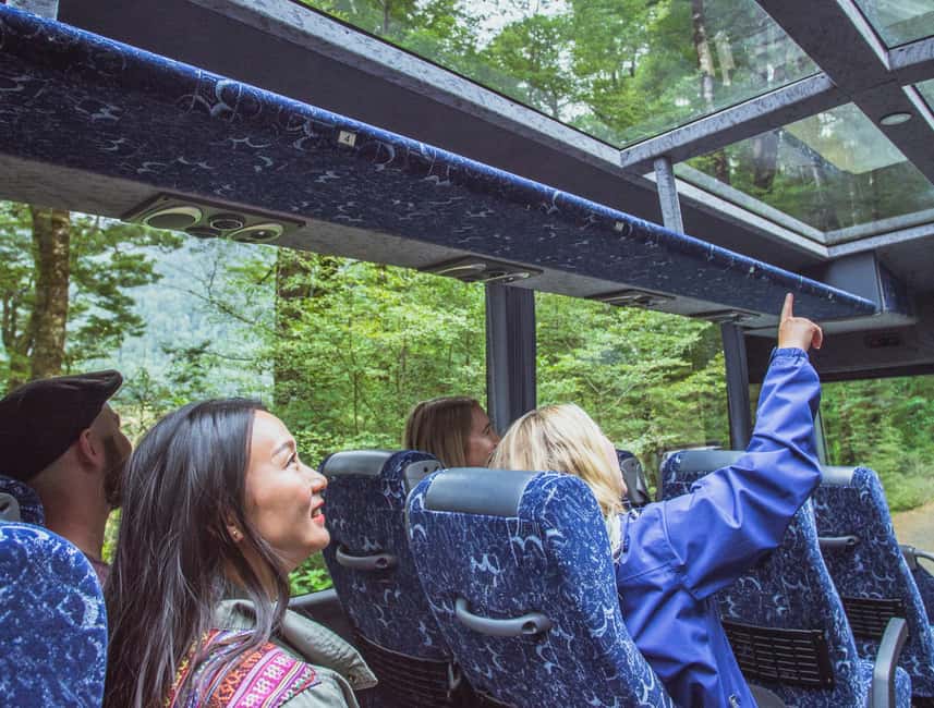 Queenstown: Milford Sound Coach & Cruise Full-Day Trip - The long road from Queenstown to Fiordland