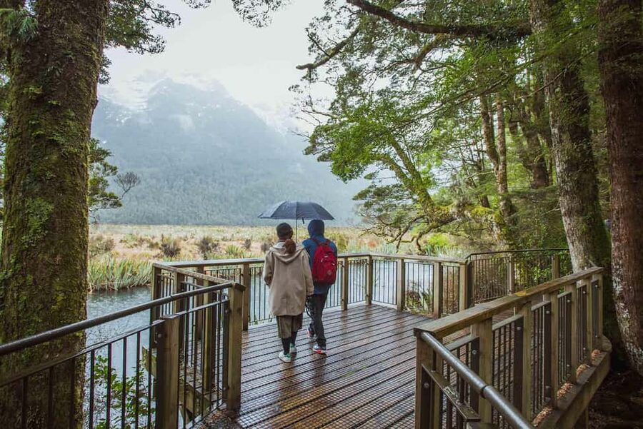 Queenstown: Milford Sound Coach & Cruise Full-Day Trip - Final verdict: a worthwhile day from Queenstown