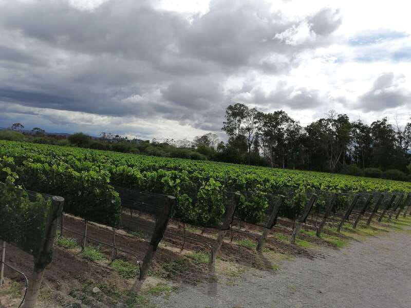 Querétaro: Haciendas, Vineyards, and Magical Towns Day Trip - Meeting the monolith at Peña de Bernal
