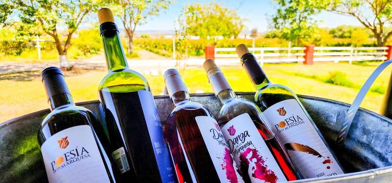 Querétaro: Haciendas, Vineyards, and Magical Towns Day Trip - Who should book this experience