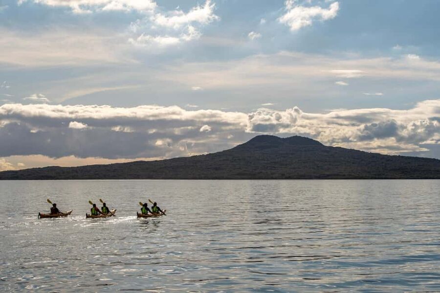 Rangitoto Island: Sea Kayak & Summit Hike Day Trip - Landing on Auckland’s youngest volcano