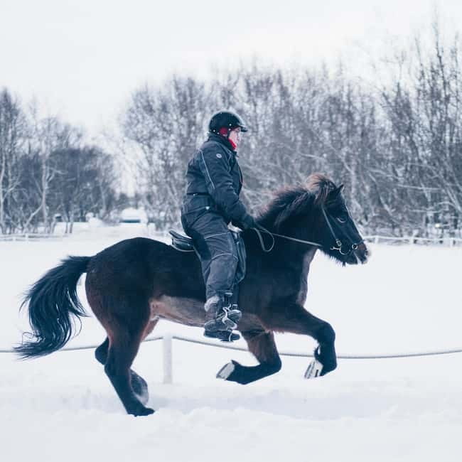 Reykjavik: Golden Circle, Fridheimar, & Sky Lagoon Day Trip - Gullfoss delivers the day’s biggest roar