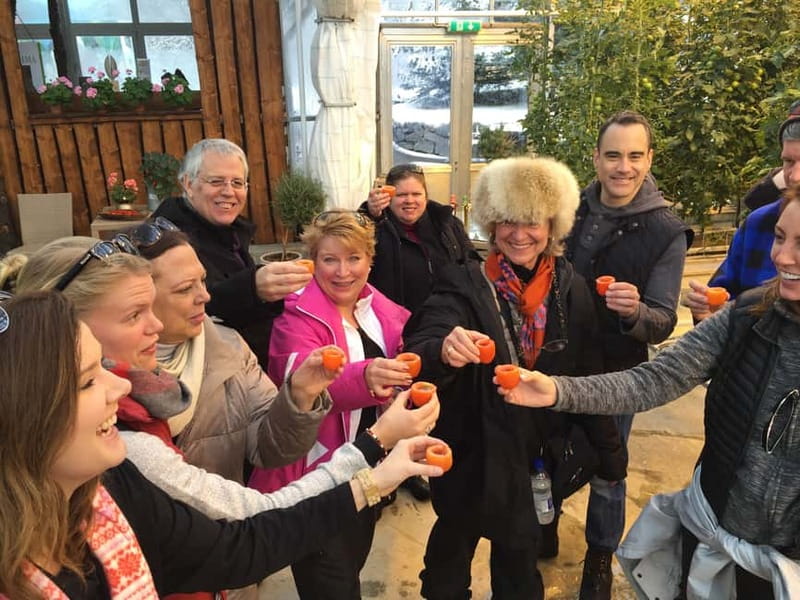 Reykjavik: Golden Circle, Fridheimar, & Sky Lagoon Day Trip - Kerid Crater gives you a compact volcanic start