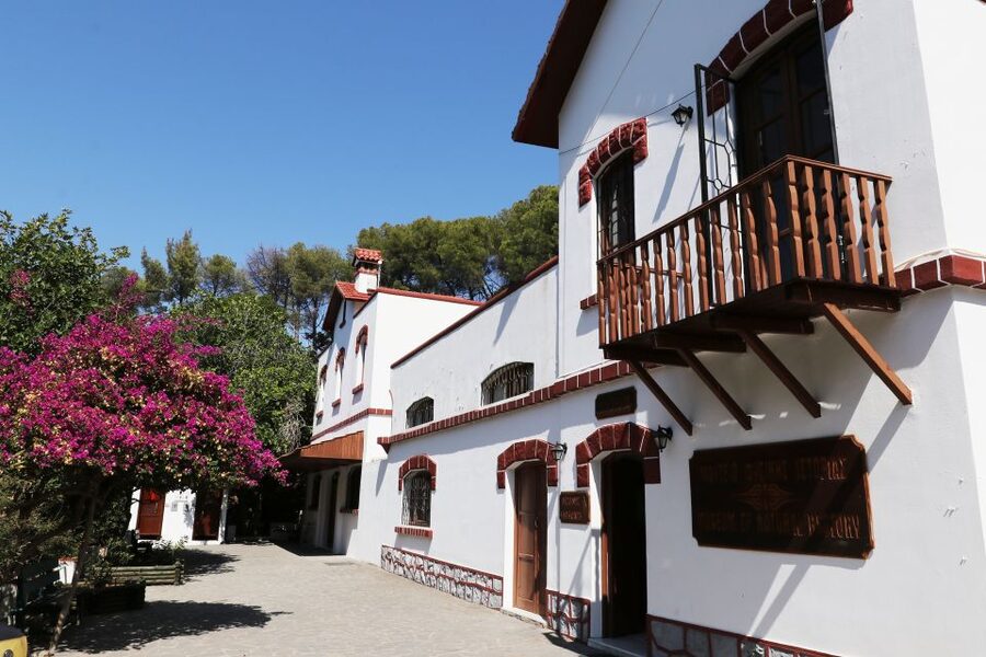 Rhodes: Butterfly Valley and Seven Springs Valley Day Trip - Should you book Rhodes Butterfly Valley and Seven Springs?