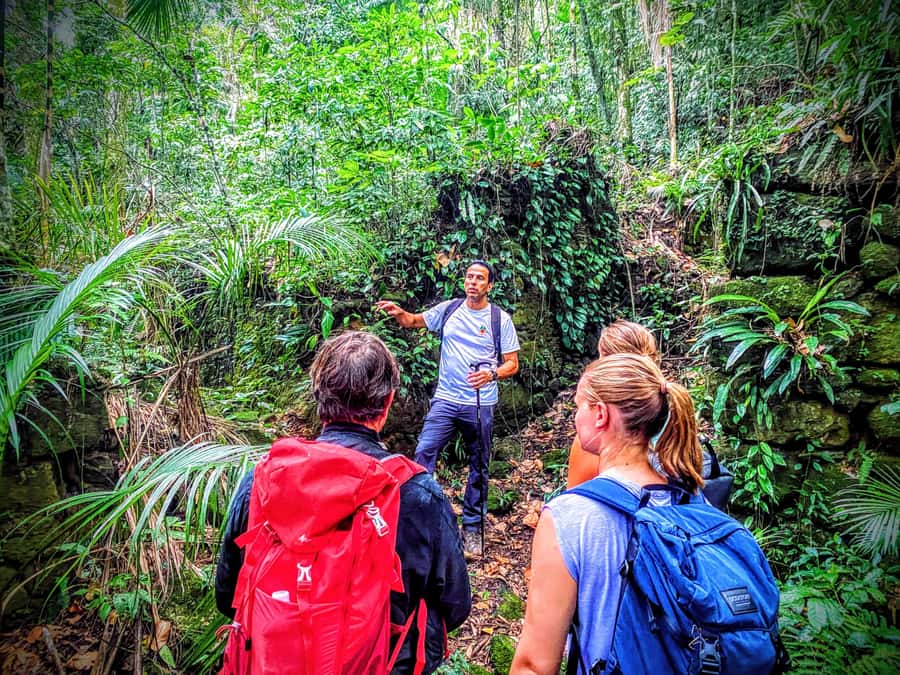 Rio de Janeiro: Tijuca Forest Challenge Hike Full-Day Trip - Old coffee farms, a grotto, and Bat Cave