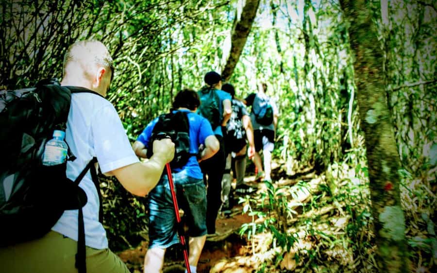 Rio de Janeiro: Tijuca Forest Challenge Hike Full-Day Trip - Cascata da Baronesa and the welcome cold water