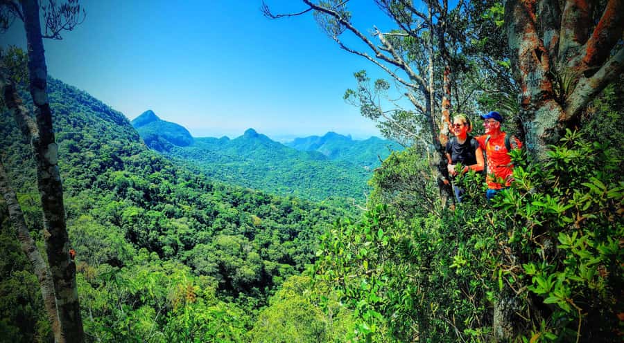 Rio de Janeiro: Tijuca Forest Challenge Hike Full-Day Trip - Vista Chinesa and the final viewpoint