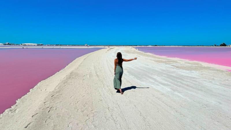 Riviera Maya: Rio Lagartos & Las Coloradas Day Trip w/Lunch - Key points at a glance