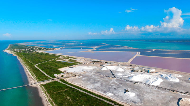 Riviera Maya: Rio Lagartos & Las Coloradas Day Trip w/Lunch - Is $104 a fair price?