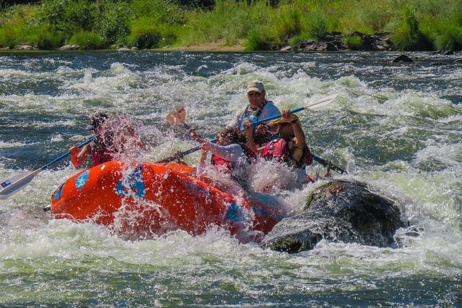 Rogue River Hellgate Canyon AM Half-Day Trip - Swimming, wildlife, and the quieter stretches