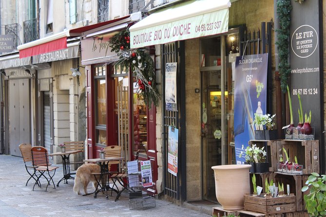 Roman Sites and Historical Places Day Trip from Avignon - A guide makes or breaks the day