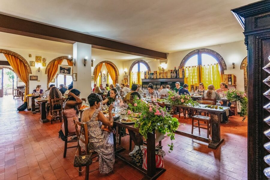 Rome: Tuscany & Montepulciano Day Trip with Lunch & Wines - Who should book this day trip