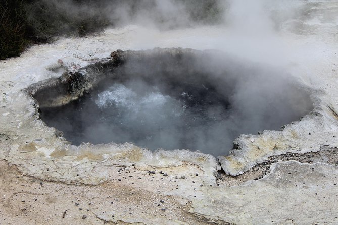 Rotorua and Waitomo Caves Day Trip from Auckland -Smaller Groups - The buffet lunch at Te Puia