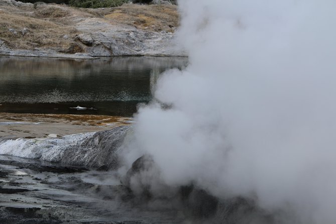 Rotorua and Waitomo Caves Day Trip from Auckland -Smaller Groups - The guide can make or break the day