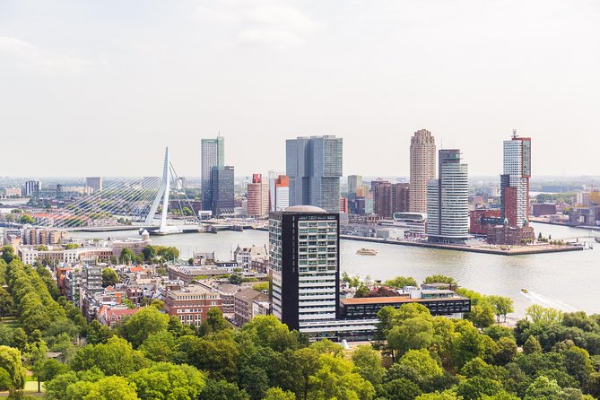 Rotterdam, Delft and The Hague Day Trip from Amsterdam - What the guide experience is really like