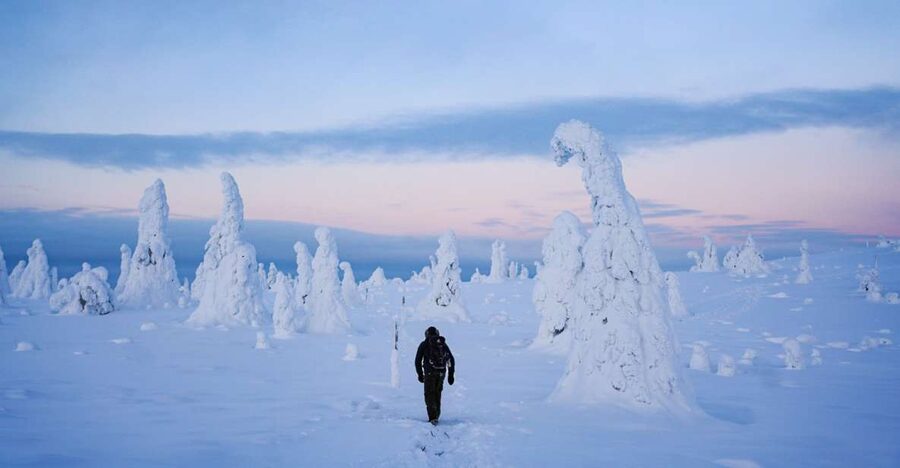 Rovaniemi: Riisitunturi National Park Day Trip with Lunch - Key points to know before booking