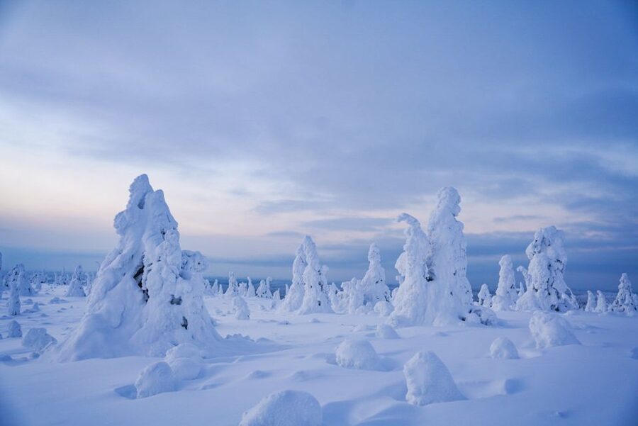 Rovaniemi: Riisitunturi National Park Day Trip with Lunch - The two-hour ride from Rovaniemi