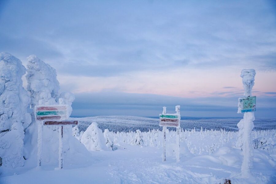 Rovaniemi: Riisitunturi National Park Day Trip with Lunch - The campfire stop and Finnish food