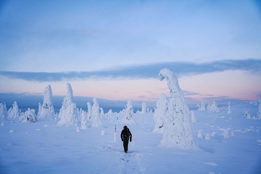 Rovaniemi: Riisitunturi National Park Day Trip with Lunch - Who should book this day trip?