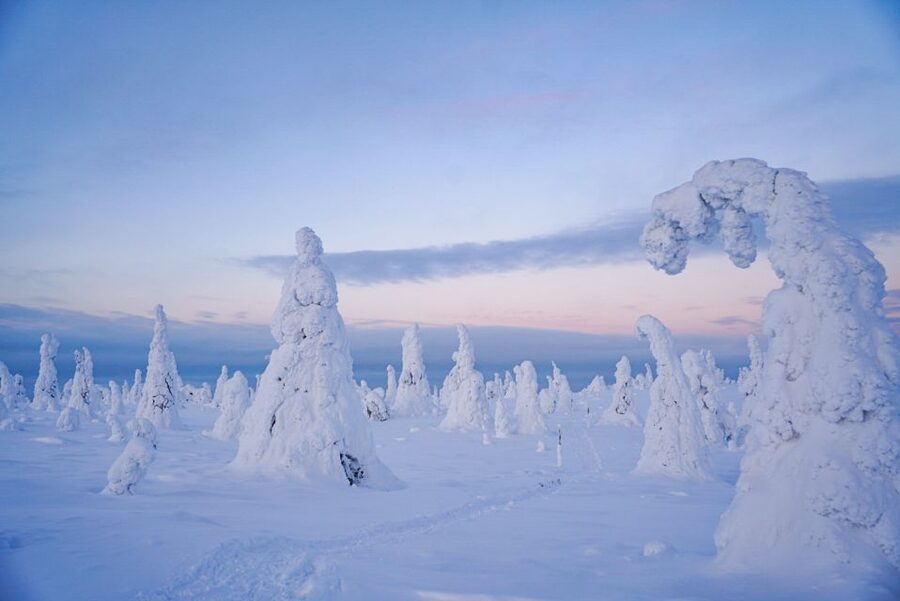 Rovaniemi: Riisitunturi National Park Day Trip with Lunch - Should you book Riisitunturi?