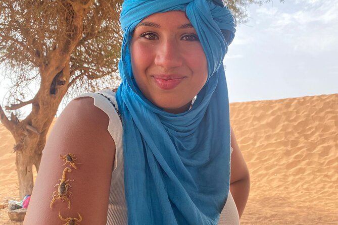 Sahara Day Trip from Agadir - Open country and optional camel time