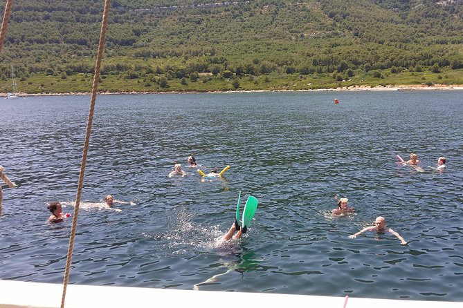 Sailing day trip on Tall Ship Andrea Jensen with Lunch and Wine - Who Should Book This Sailing Day
