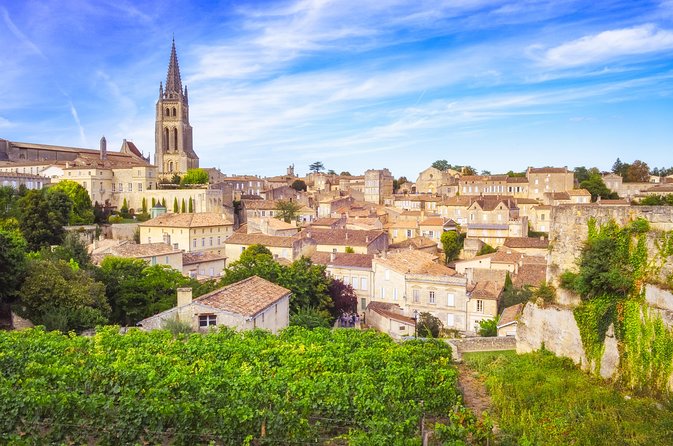 Saint Emilion Day Trip with Sightseeing Tour & Wine Tastings from Bordeaux - What the small minivan adds to the day
