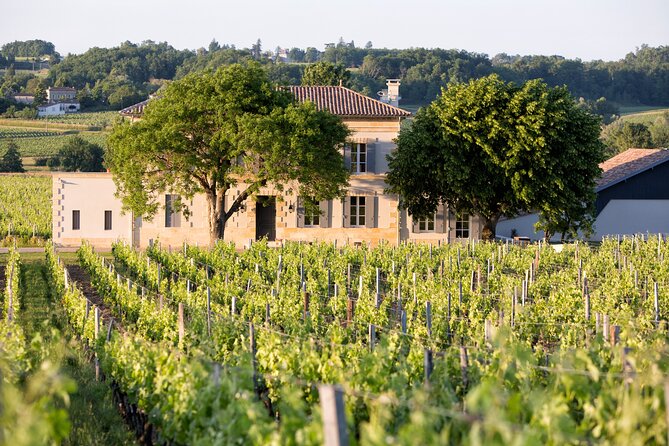 Saint Emilion Half-Day Trip with Wine Tasting & Winery Visit from Bordeaux - Walking through the UNESCO-listed village
