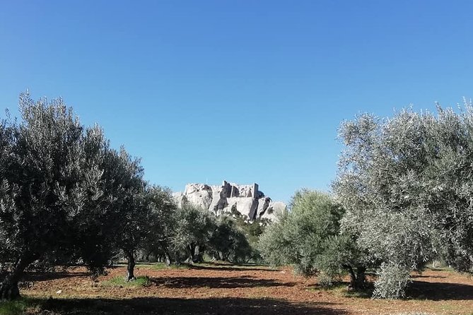 Saint Remy, Les Baux and Pont du Gard Small Group Half-Day Trip - Is $107.41 a fair price?