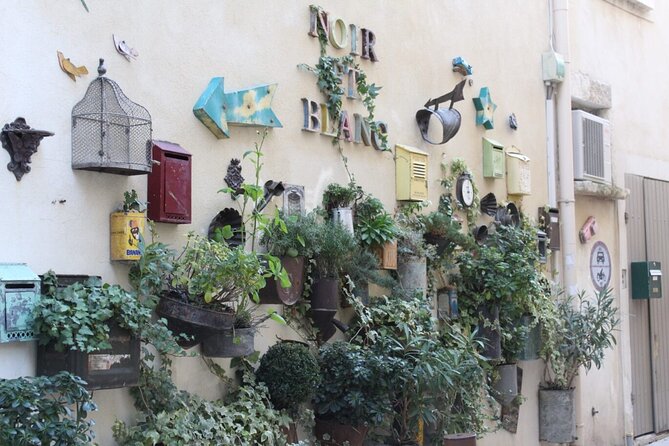 Saint Remy, Les Baux and Pont du Gard Small Group Half-Day Trip - Who should book this Provence tour?