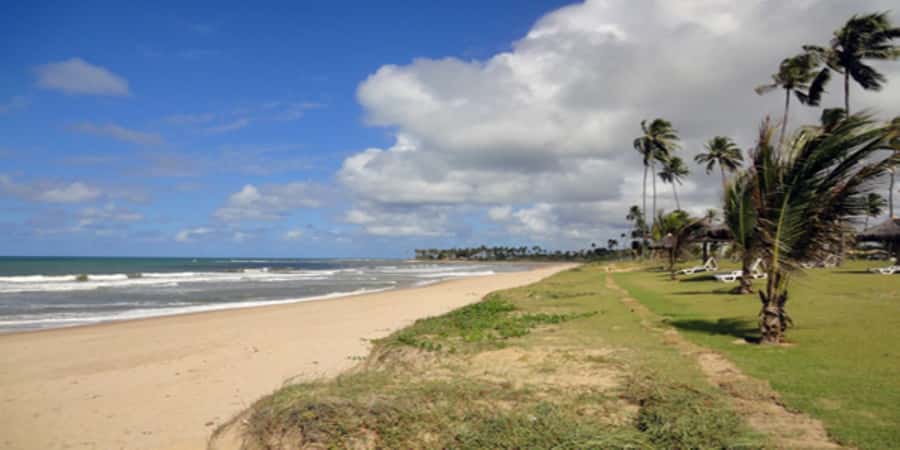 Salvador: Praia Do Forte and Guarajuba Beach Day Trip - Practical Booking Advice Before You Go