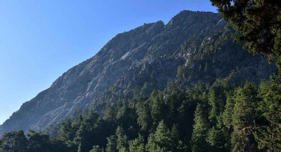 Samariá Gorge Hike: Day Excursion from Chania - Key points to know before you book